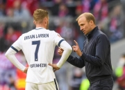 霍芬海姆足球俱乐部争分夺秒备战欧洲赛事的简单介绍