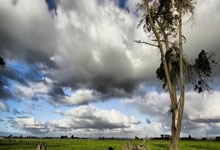  蒂姆重返赛场，锐不可当首场状态出色，RNG观众沸腾！气势如虹延续